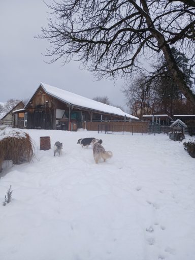 Winterwetter in der Pension