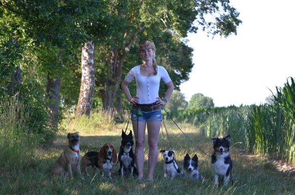 Bis zu acht Hunde nehme ich mit zum Gassi