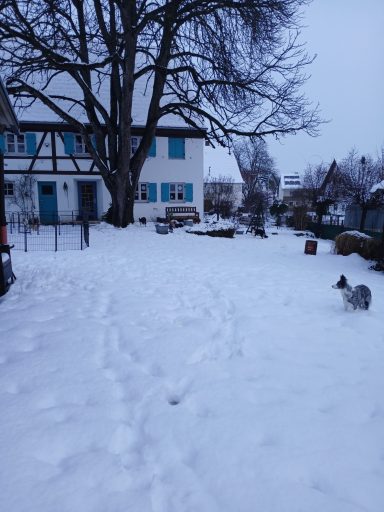 Hundegarten im Schnee versunken